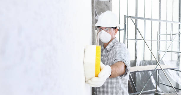 Mold Remediation for Vacation Homes in Marshall, WI